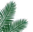 hero leaf 1